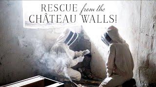 Château wall RESCUE!  Building a sustainable future: Part one