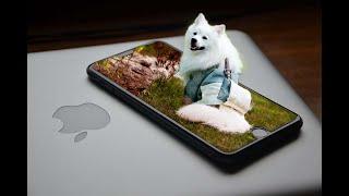 Photoshop manipulation of Dog from mobile with Let's Design Together Tutorial