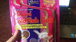 Thức ăn hạt nổi cho cá vàng con Nhật Bản Hikari goldfish gold