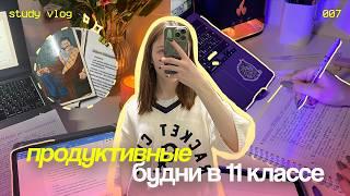  study vlog ˚₊‧ продуктивные будни в 11 классе ‧₊˚ закрываю долги и готовлюсь к егэ