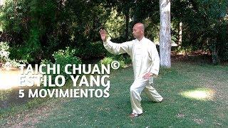 Taichi Chuan estilo Yang de 5 movimientos