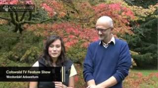 Westonbirt Arboretum Autumn Colours by Cotswold TV