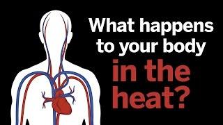 Runners, what happens to your body in the heat?