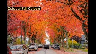 October Fall Colors in Vancouver, Canada