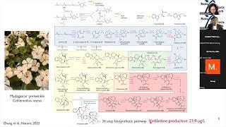 NPR Seminar | Understanding the chemistry of plant alkaloids biosynthesis in the omics era