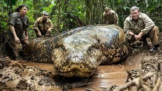 Unbelievable Titanoboa Sightings You've Never Seen Before