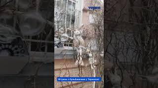 Вітрина з бульбашками у Тернополі