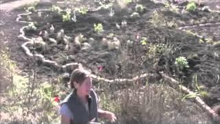 MAP Flow Garden at Trinity River Audubon Center