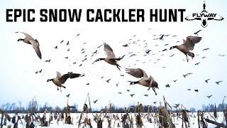 THOUSANDS of Cacklers in the SNOW!! (Trophy Cackler Harvested)