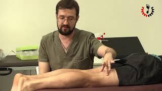 Боль по задней поверхности коленного сустава