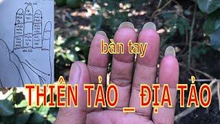 xem bàn tay- cách chọn ngày tốt xấu trên bàn tay (rất hay)