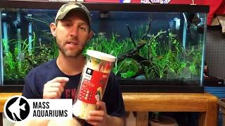 Aquarium Tools of the Trade: Tools you will need for your Aquariums