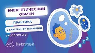 ЭНЕРГЕТИЧЕСКИЙ ОБМЕН | Биология. ЕГЭ 2022