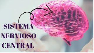 SISTEMA NERVIOSO CENTRAL...SNC