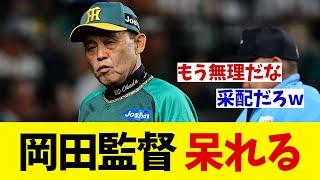 阪神・岡田監督　呆れる・・・【野球情報】【2ch 5ch】【なんJ なんG反応】【野球スレ】