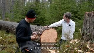 Medieval wood riving – An attempt to recreate craftsmanship