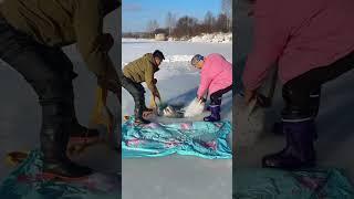 Winter ice fishing