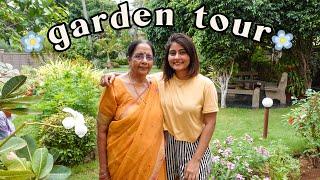 MY HOME GARDEN TOUR  our houseplant collection | Kritika Goel