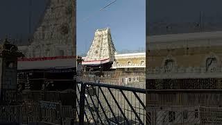 tirumala tirupati temple #shorts #ytshorts