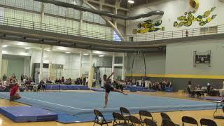 Adam Hein - Floor Exercise - 2017 Iowa State Championship