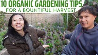 10 Organic Gardening Tips for a Bountiful Harvest