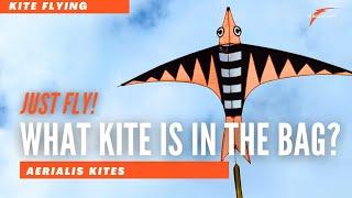 What Kite Is In The Bag? - Full Video