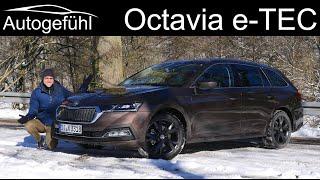 2021 Skoda Octavia e-TEC FULL REVIEW mid spec + entry level 1.0 petrol engine