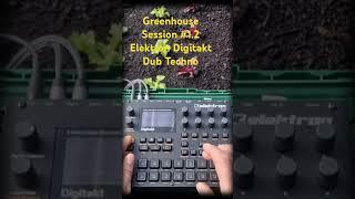 Greenhouse Session no.1.2  #digitakt Dub Techno Lo Fi House Mini Live Jam 124 bpm