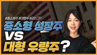 중소형성장주, 대형우량주! 어떤 기준으로 어떻게 골라야 할까? | 월급구조대 | 해외주식 | 미국주식| 해외주식으로 두 번째 월급 만들기 EP.14