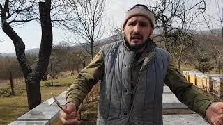 Сетчатое дно плюсы и минусы.