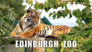 Edinburgh Zoo, Corstorphine, Scotland 2021