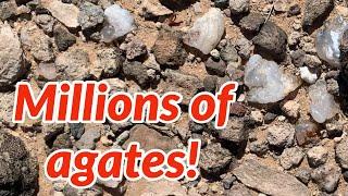 Easy to find agates in Arizona! Tips & Tricks