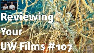 Reviewing YOUR UNDERWATER FILMS #107 ⎮ Gage Trader