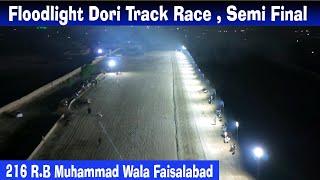 Floodlight Dori Track Race || Semi Final || 216 RB Muhammad wala Faisalabad #dog #doglover