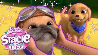 ¡Cachorros mejores amigos! ¡Rookie conoce a Zeus! | Clip de la película | Barbie: Stacie al Rescate