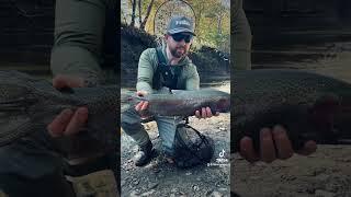 Steelhead season is back! @STLHD