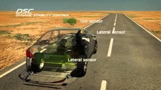 Dynamic Stability Control (DSC)