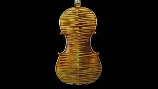 Master Build deluxe Wood #335 Guarneri del Gesu 1743 "Cannone"