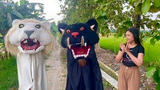 Mencari barongan hitam dan barongan singa putih