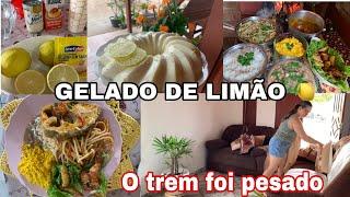 O TREM AQUI HOJE FOI PESADO | LAVEI MUITAS ROUPA FIZ SOBREMESA DE LIMÂO| MOQUECA DE PEIXE E +