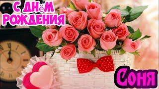 С Днем Рождения,Соня !Шикарная песня для тебя!(С днюшечкой)