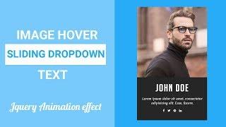 Image Hover with Sliding dropdown Text