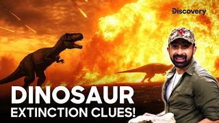 The Dinosaur Extinction Mystery! | Mystery Hunter | Promo | Discovery Channel