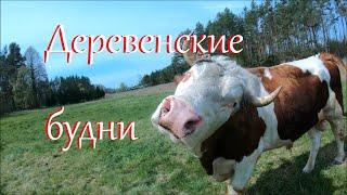 День на Лесном Хуторе. Жизнь в деревне.