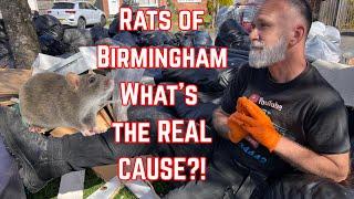 RAT INFESTED BIRMINGHAM - Who is to BLAME? Is it the BIN STRIKE or something else?