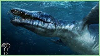 What If The Liopleurodon Didn't Go Extinct?