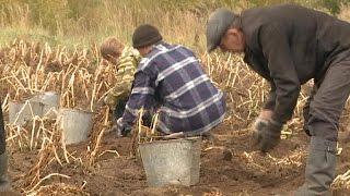 Russians offered free land in the country's Far East