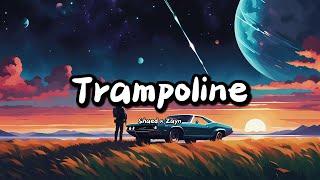 SHAED x ZAYN - Trampoline (Lyrics)