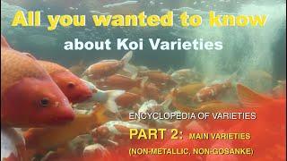 Koi Variety Encyclopedia - Part 2: Main Varieties (non-metallic, non-gosanke)