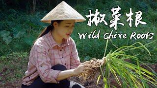 "Spices of Four Seasons" Wild Chive Roots - Yunnan Flavor Hidden in Dirt